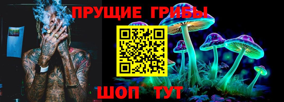 Камышин  Псилоцибиновые грибы Psilocybine cubensis  Псилоцибиновые грибы мухоморы  Вход с VPN 